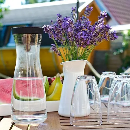 公寓 Bloom 2 青斯特